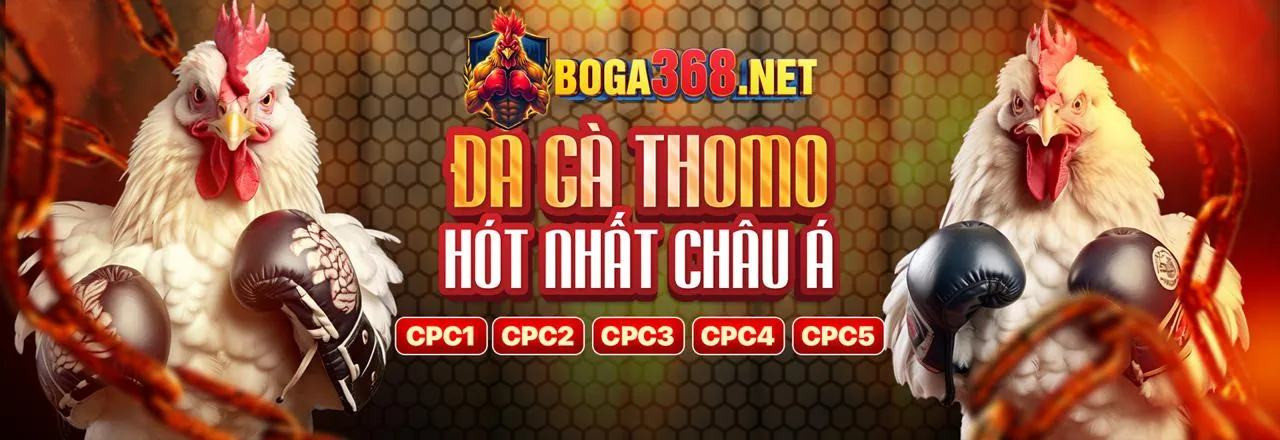 Sân vận động với trận đấu bóng đá sôi động tại 777loc nhà cái